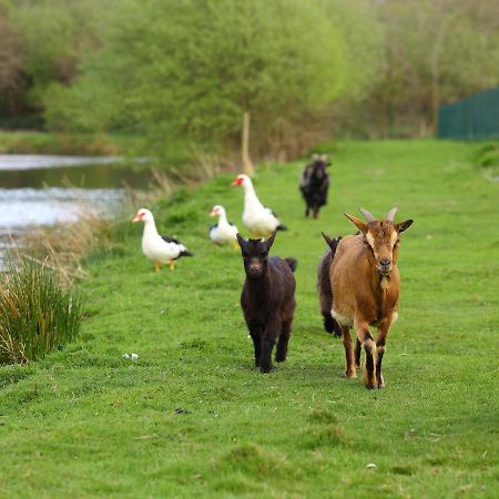 Gites De La Ferme De Vur Ven 古维约 外观 照片