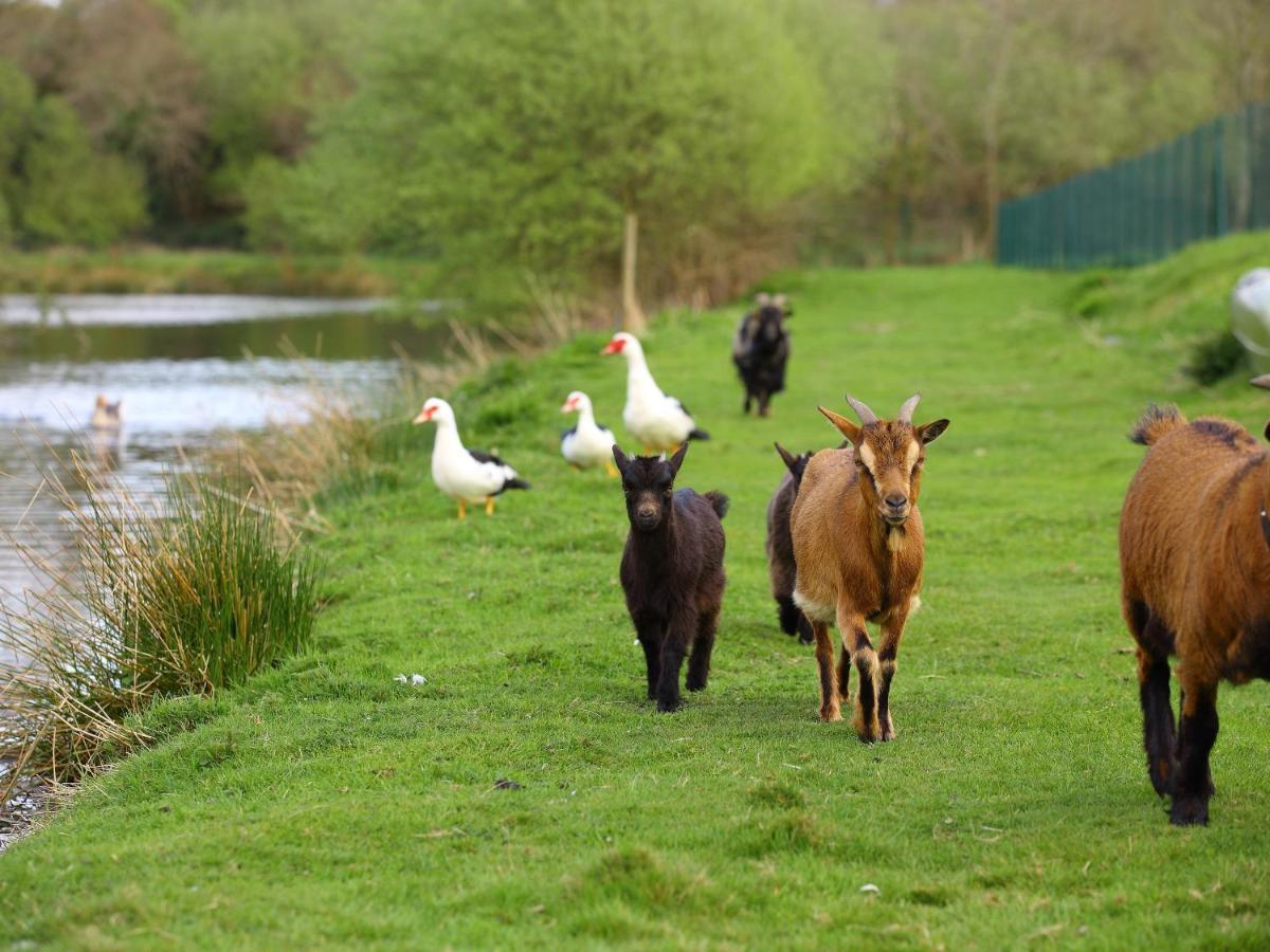 Gites De La Ferme De Vur Ven 古维约 外观 照片